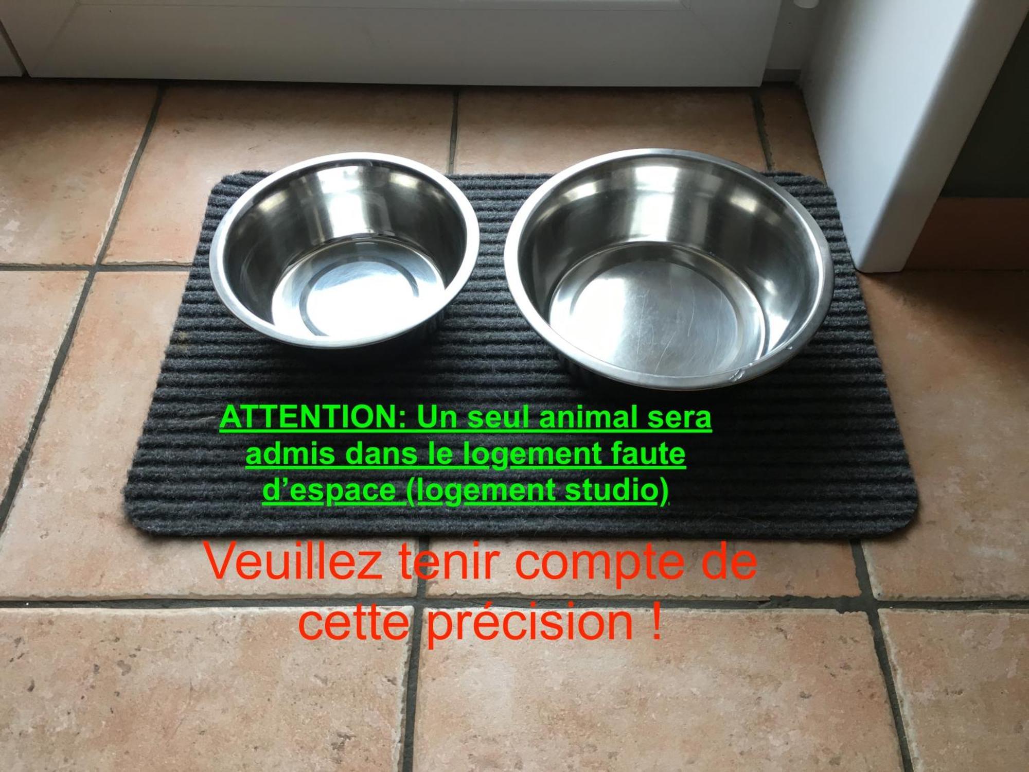 Studio "Cote Mer" La Naturelle - Wimereux Exteriör bild